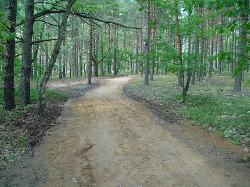 Sobibor path of the former Shlauch